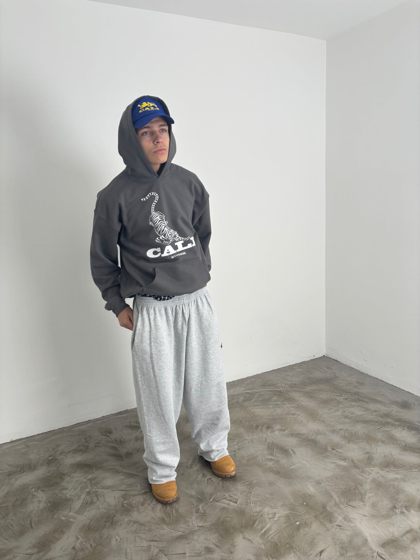 Tiger Hoodie - Dark Grey