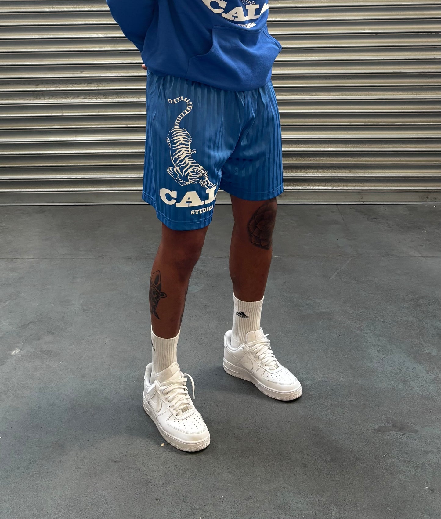 Tiger Shorts - Blue