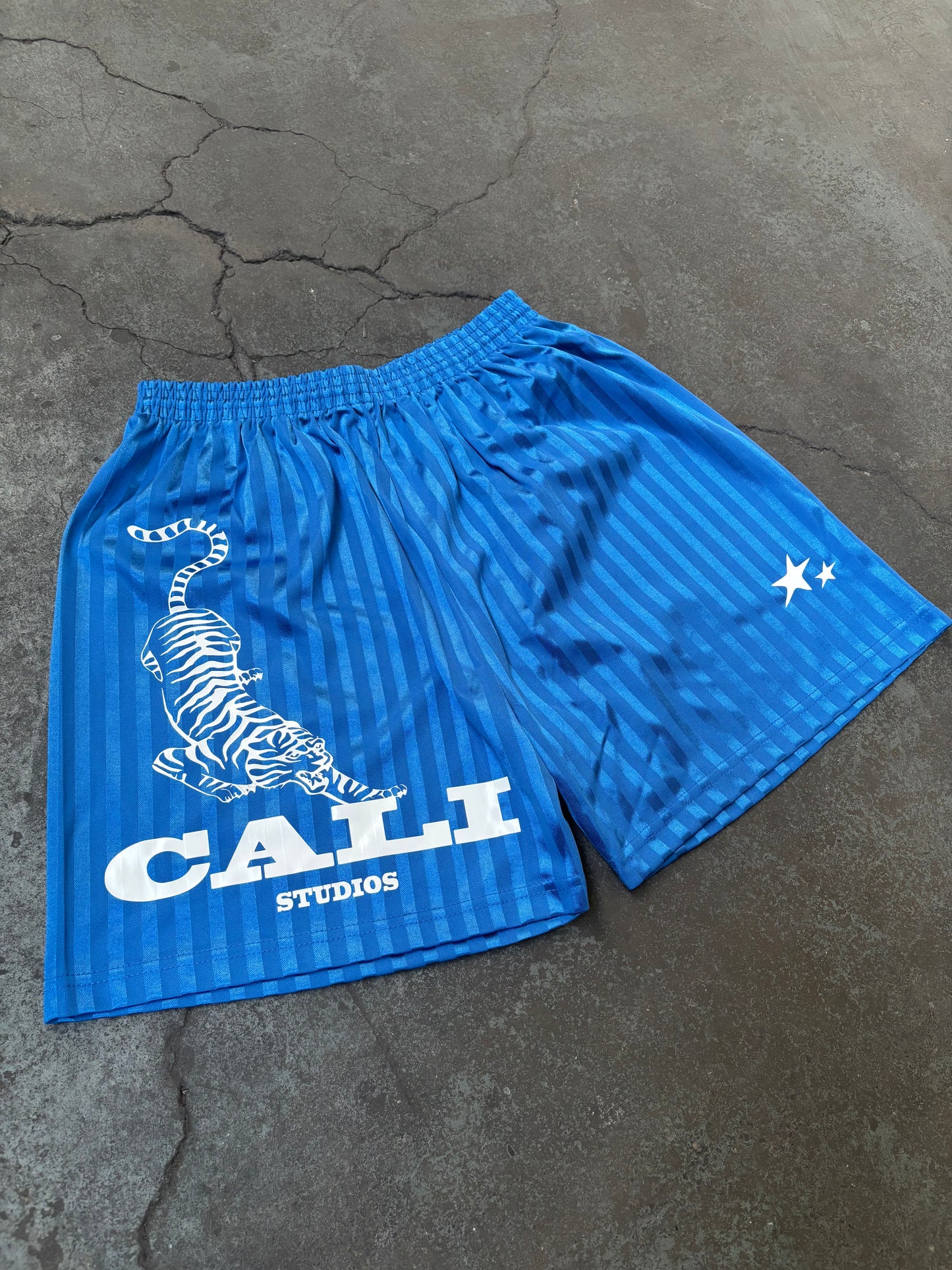 Tiger Shorts - Blue