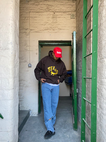 Texas Hoodie